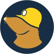 Mullvad DNS logo